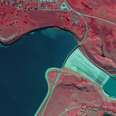 Aerial image showing vegetation