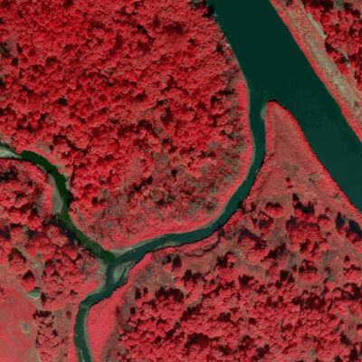 Forestry River IR Scan